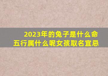 2023年的兔子是什么命五行属什么呢女孩取名宜忌