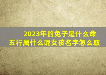 2023年的兔子是什么命五行属什么呢女孩名字怎么取