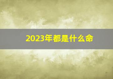 2023年都是什么命