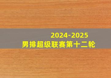 2024-2025男排超级联赛第十二轮