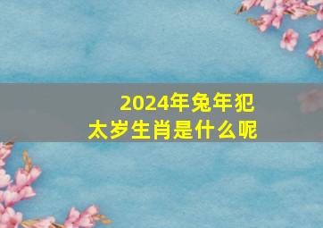 2024年兔年犯太岁生肖是什么呢