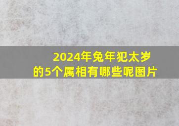 2024年兔年犯太岁的5个属相有哪些呢图片