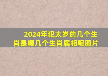 2024年犯太岁的几个生肖是哪几个生肖属相呢图片