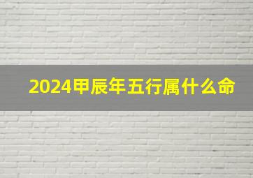 2024甲辰年五行属什么命