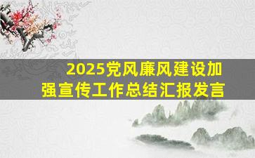 2025党风廉风建设加强宣传工作总结汇报发言