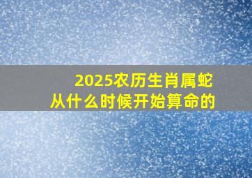 2025农历生肖属蛇从什么时候开始算命的