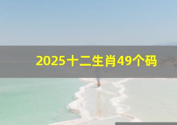 2025十二生肖49个码