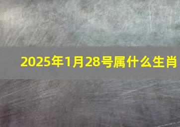 2025年1月28号属什么生肖