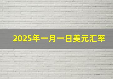 2025年一月一日美元汇率