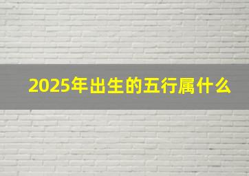 2025年出生的五行属什么