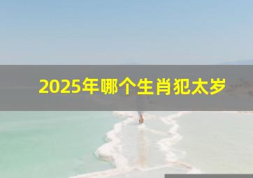 2025年哪个生肖犯太岁