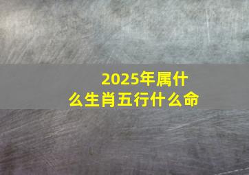 2025年属什么生肖五行什么命