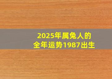 2025年属兔人的全年运势1987出生