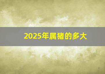 2025年属猪的多大