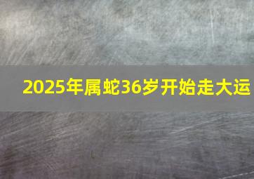 2025年属蛇36岁开始走大运