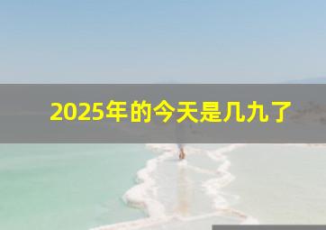 2025年的今天是几九了