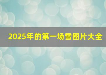 2025年的第一场雪图片大全