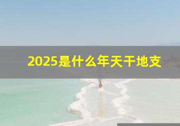 2025是什么年天干地支