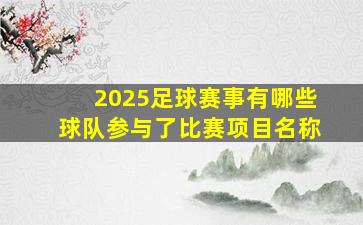 2025足球赛事有哪些球队参与了比赛项目名称