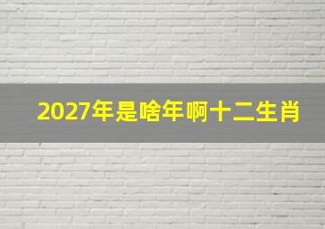 2027年是啥年啊十二生肖