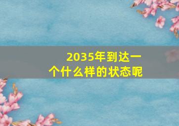 2035年到达一个什么样的状态呢