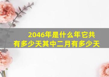 2046年是什么年它共有多少天其中二月有多少天