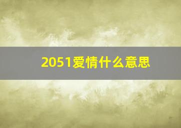 2051爱情什么意思