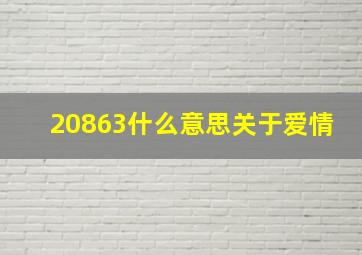 20863什么意思关于爱情