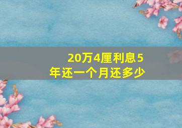 20万4厘利息5年还一个月还多少