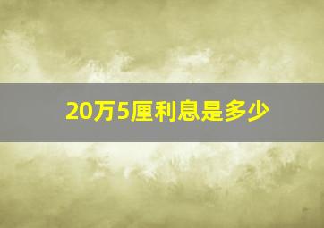 20万5厘利息是多少