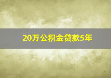 20万公积金贷款5年