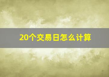 20个交易日怎么计算