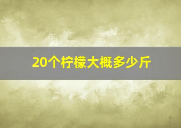 20个柠檬大概多少斤