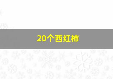 20个西红柿