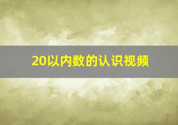 20以内数的认识视频