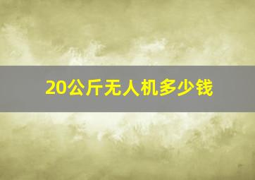 20公斤无人机多少钱