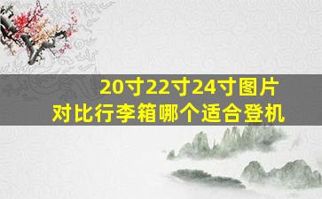 20寸22寸24寸图片对比行李箱哪个适合登机