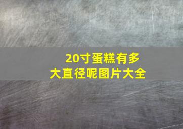 20寸蛋糕有多大直径呢图片大全