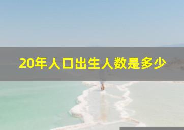 20年人口出生人数是多少