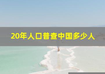 20年人口普查中国多少人