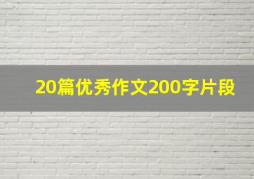 20篇优秀作文200字片段