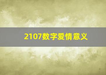 2107数字爱情意义