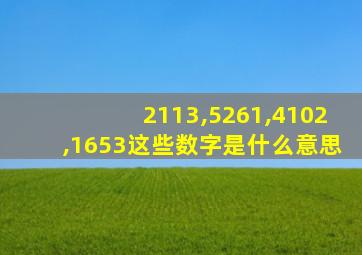 2113,5261,4102,1653这些数字是什么意思