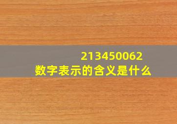 213450062数字表示的含义是什么