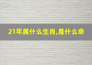 21年属什么生肖,是什么命