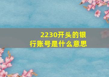 2230开头的银行账号是什么意思