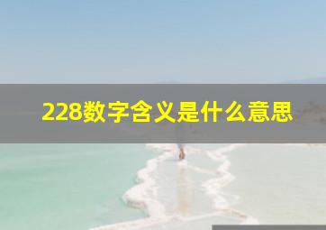 228数字含义是什么意思