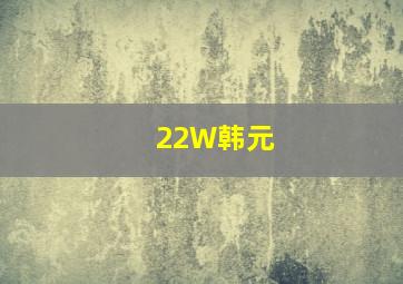 22W韩元