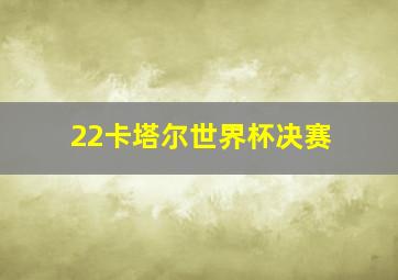 22卡塔尔世界杯决赛