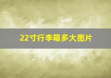 22寸行李箱多大图片